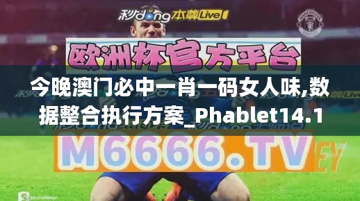 今晚澳门必中一肖一码女人味,数据整合执行方案_Phablet14.154