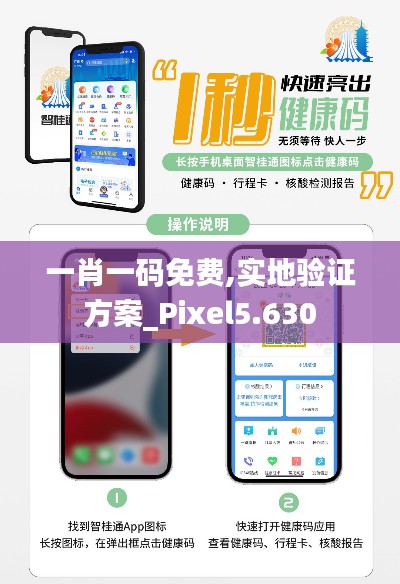 一肖一码免费,实地验证方案_Pixel5.630