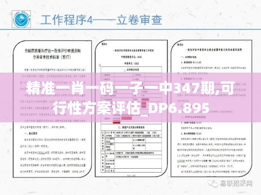 精准一肖一码一子一中347期,可行性方案评估_DP6.895