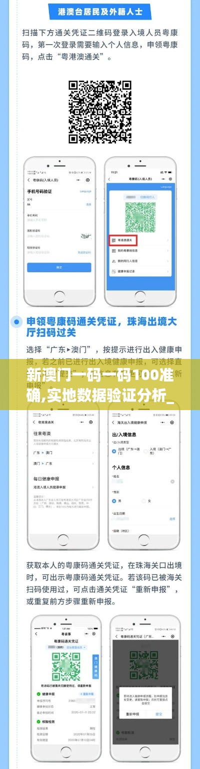 新澳门一码一码100准确,实地数据验证分析_Tablet8.839