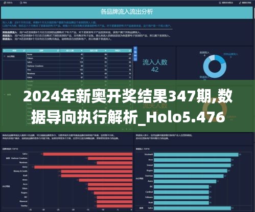 2024年新奥开奖结果347期,数据导向执行解析_Holo5.476