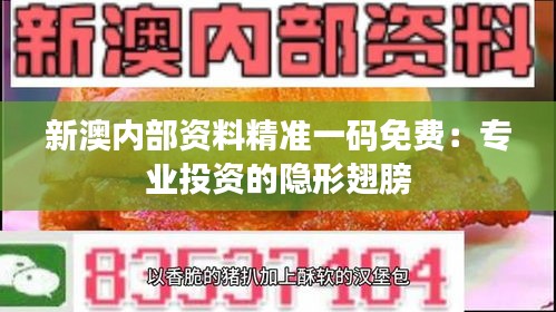 新澳内部资料精准一码免费：专业投资的隐形翅膀