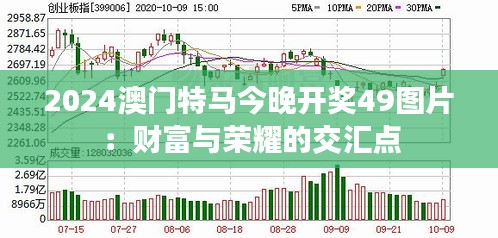 2024澳门特马今晚开奖49图片：财富与荣耀的交汇点