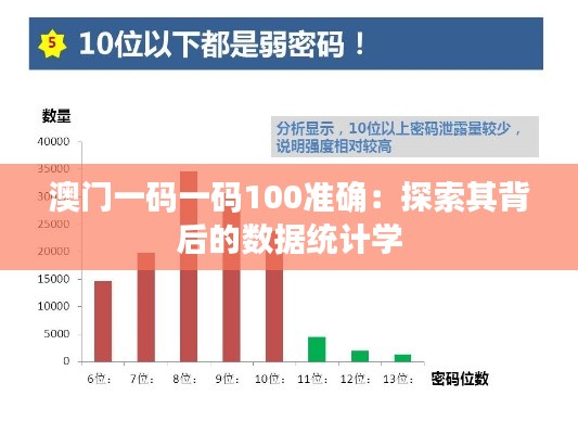 澳门一码一码100准确：探索其背后的数据统计学