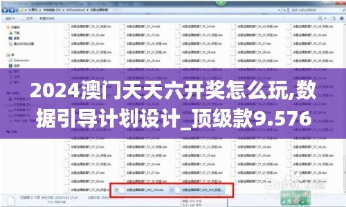 2024澳门天天六开奖怎么玩,数据引导计划设计_顶级款9.576