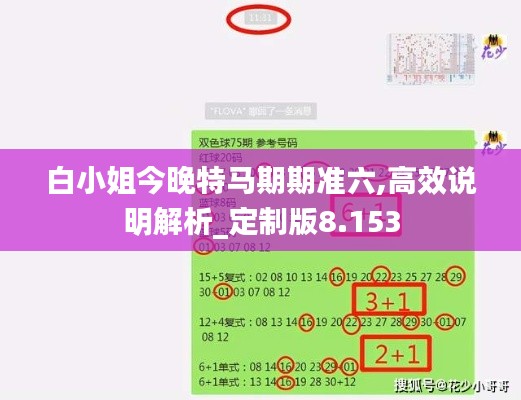 白小姐今晚特马期期准六,高效说明解析_定制版8.153