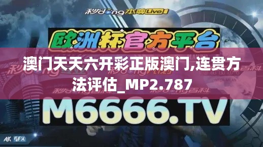 澳门天天六开彩正版澳门,连贯方法评估_MP2.787