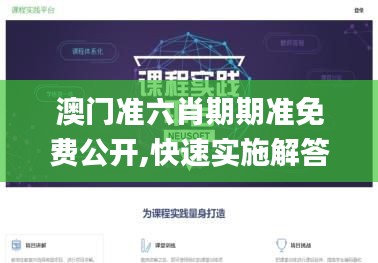 澳门准六肖期期准免费公开,快速实施解答策略_VIP1.541