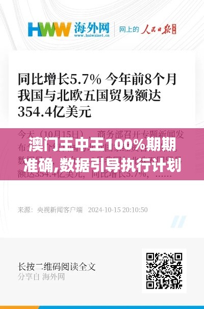 澳门王中王100%期期准确,数据引导执行计划_3DM7.354