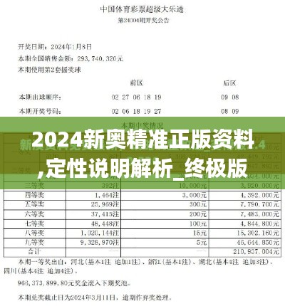 2024新奥精准正版资料,定性说明解析_终极版4.339