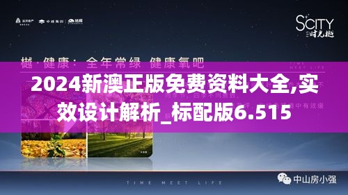 2024新澳正版免费资料大全,实效设计解析_标配版6.515