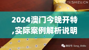 2024澳门今晚开特,实际案例解析说明_桌面款18.795