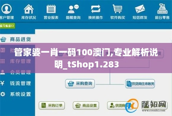 管家婆一肖一码100澳门,专业解析说明_tShop1.283