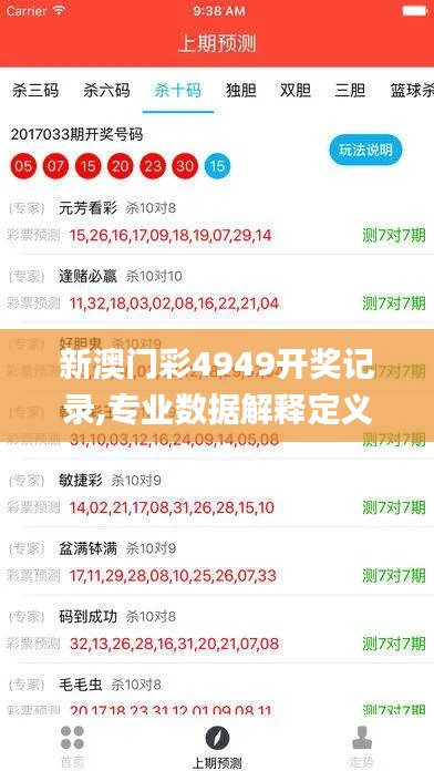 新澳门彩4949开奖记录,专业数据解释定义_冒险版5.918